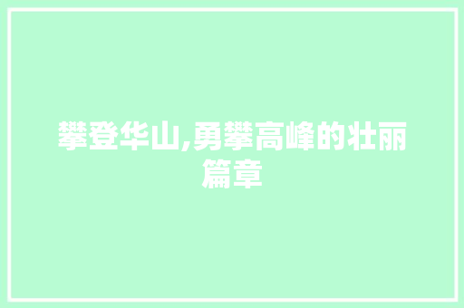 攀登华山,勇攀高峰的壮丽篇章