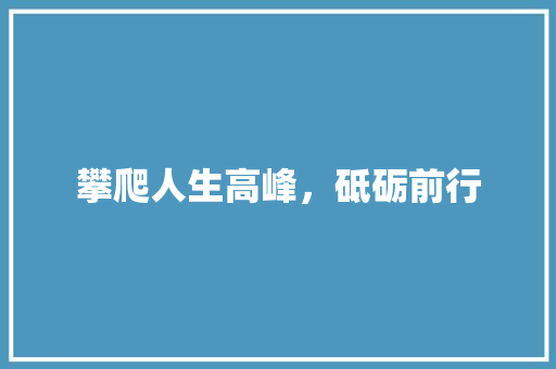 攀爬人生高峰，砥砺前行