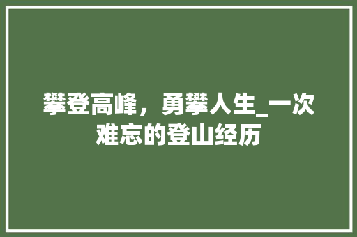 攀登高峰，勇攀人生_一次难忘的登山经历