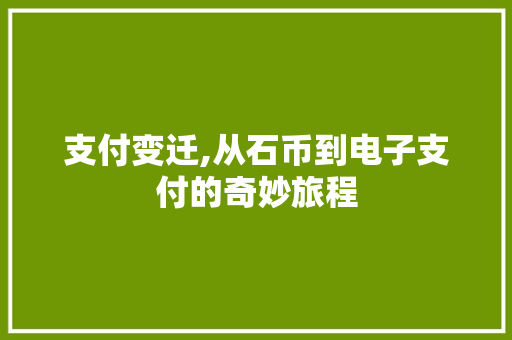 支付变迁,从石币到电子支付的奇妙旅程