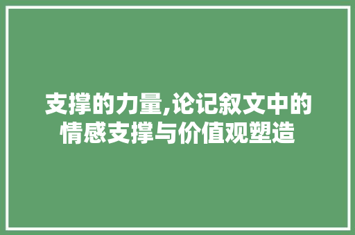 支撑的力量,论记叙文中的情感支撑与价值观塑造