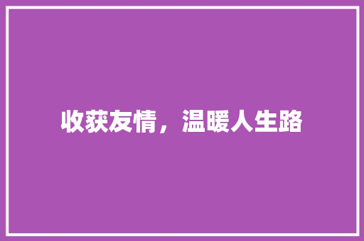 收获友情，温暖人生路