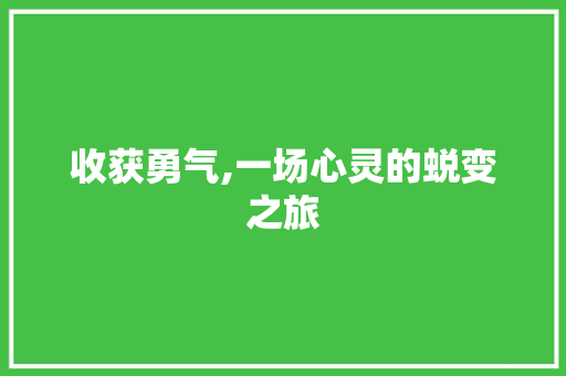 收获勇气,一场心灵的蜕变之旅