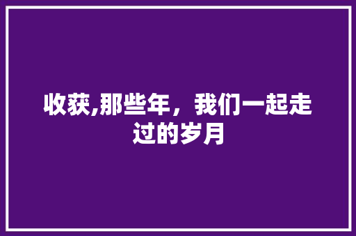 收获,那些年，我们一起走过的岁月