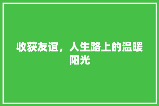 收获友谊，人生路上的温暖阳光