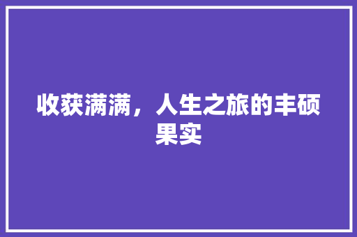 收获满满，人生之旅的丰硕果实