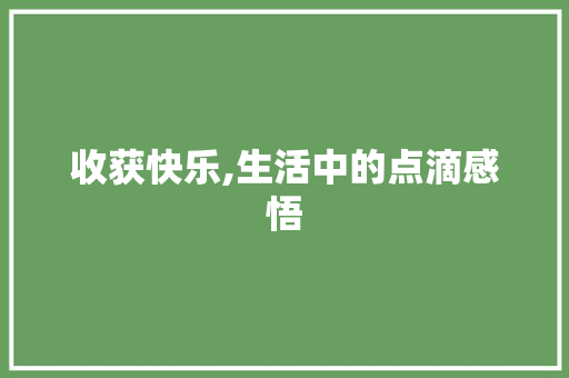 收获快乐,生活中的点滴感悟