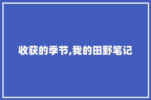 收获的季节,我的田野笔记