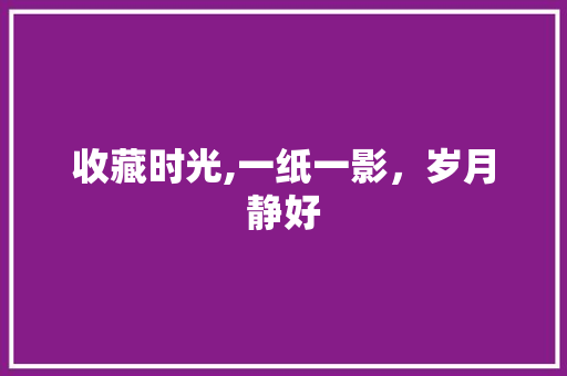 收藏时光,一纸一影，岁月静好