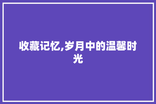 收藏记忆,岁月中的温馨时光