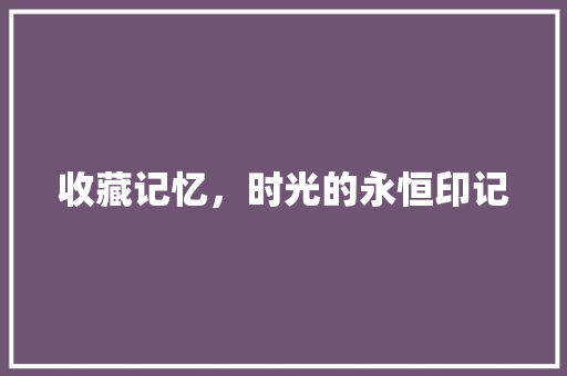 收藏记忆，时光的永恒印记