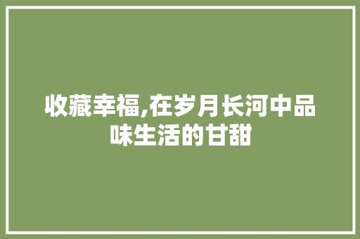 收藏幸福,在岁月长河中品味生活的甘甜