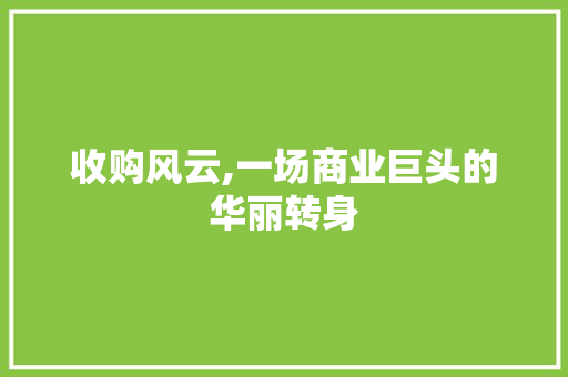 收购风云,一场商业巨头的华丽转身