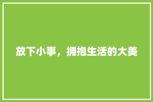 放下小事，拥抱生活的大美