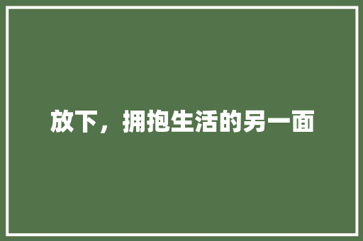 放下，拥抱生活的另一面