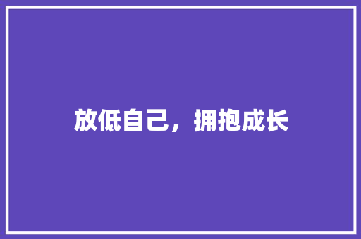 放低自己，拥抱成长