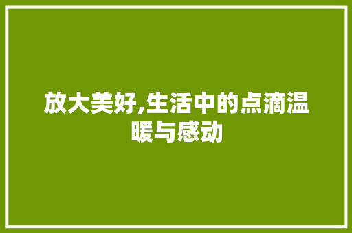 放大美好,生活中的点滴温暖与感动