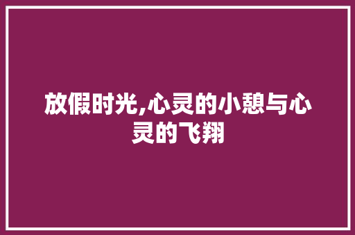 放假时光,心灵的小憩与心灵的飞翔