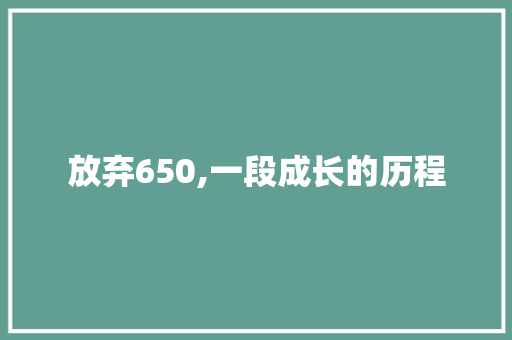 放弃650,一段成长的历程