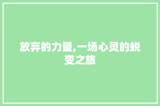 放弃的力量,一场心灵的蜕变之旅