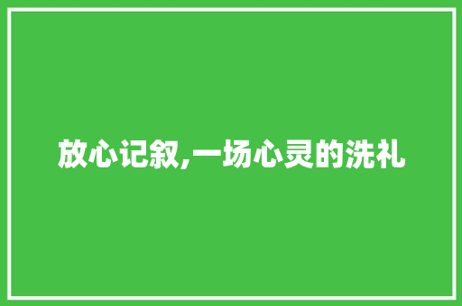 放心记叙,一场心灵的洗礼