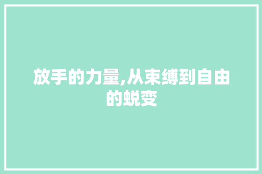 放手的力量,从束缚到自由的蜕变