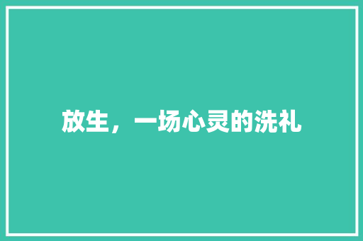 放生，一场心灵的洗礼