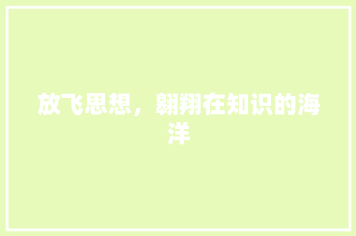 放飞思想，翱翔在知识的海洋