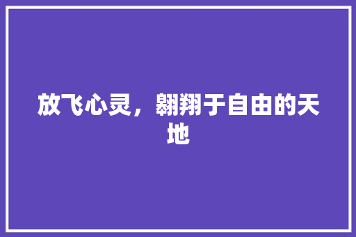 放飞心灵，翱翔于自由的天地