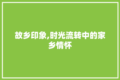 故乡印象,时光流转中的家乡情怀