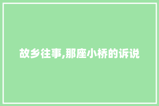 故乡往事,那座小桥的诉说