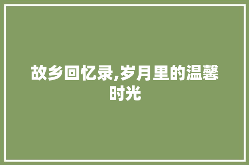 故乡回忆录,岁月里的温馨时光