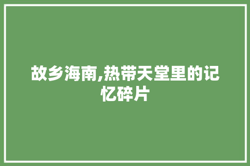 故乡海南,热带天堂里的记忆碎片