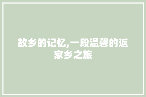 故乡的记忆,一段温馨的返家乡之旅