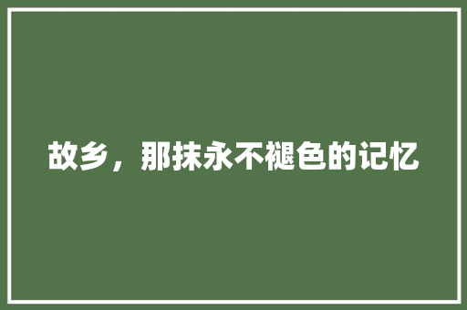 故乡，那抹永不褪色的记忆