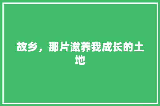 故乡，那片滋养我成长的土地