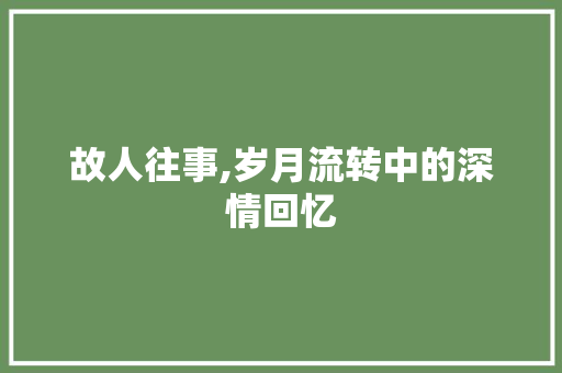 故人往事,岁月流转中的深情回忆