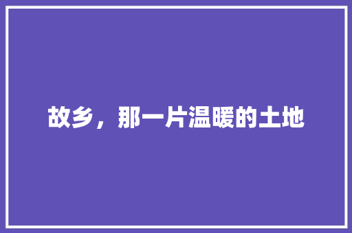 故乡，那一片温暖的土地