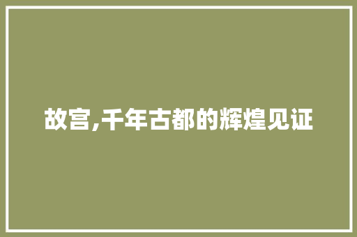 故宫,千年古都的辉煌见证