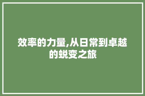 效率的力量,从日常到卓越的蜕变之旅