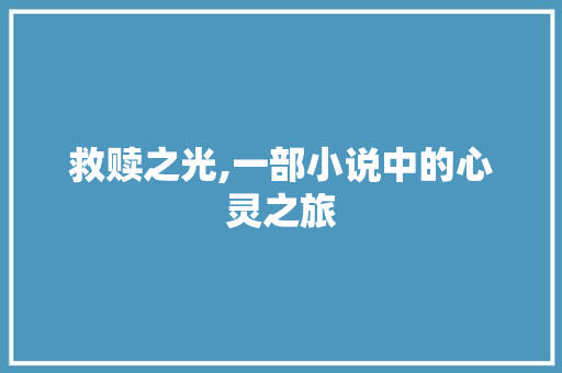 救赎之光,一部小说中的心灵之旅