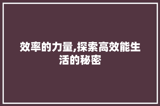 效率的力量,探索高效能生活的秘密