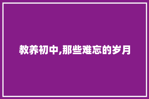 教养初中,那些难忘的岁月 申请书范文