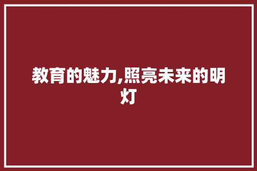 教育的魅力,照亮未来的明灯