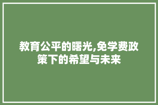 教育公平的曙光,免学费政策下的希望与未来