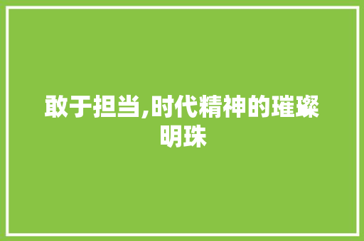 敢于担当,时代精神的璀璨明珠