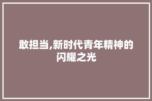 敢担当,新时代青年精神的闪耀之光