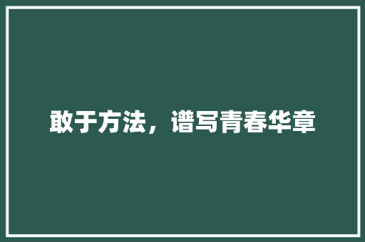 敢于方法，谱写青春华章