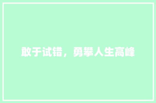 敢于试错，勇攀人生高峰