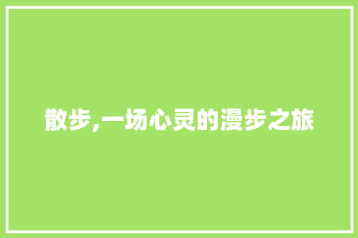 散步,一场心灵的漫步之旅